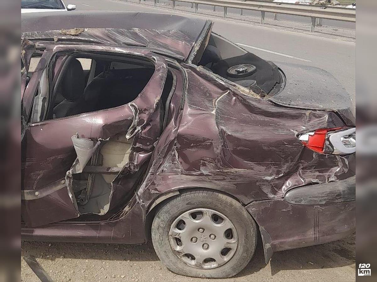 فروش پژو 206 SD V8 ۱۳۹۱ بادمجانی تصادفی مازندران نور (۴ اردیبهشت ۱۴۰۴)