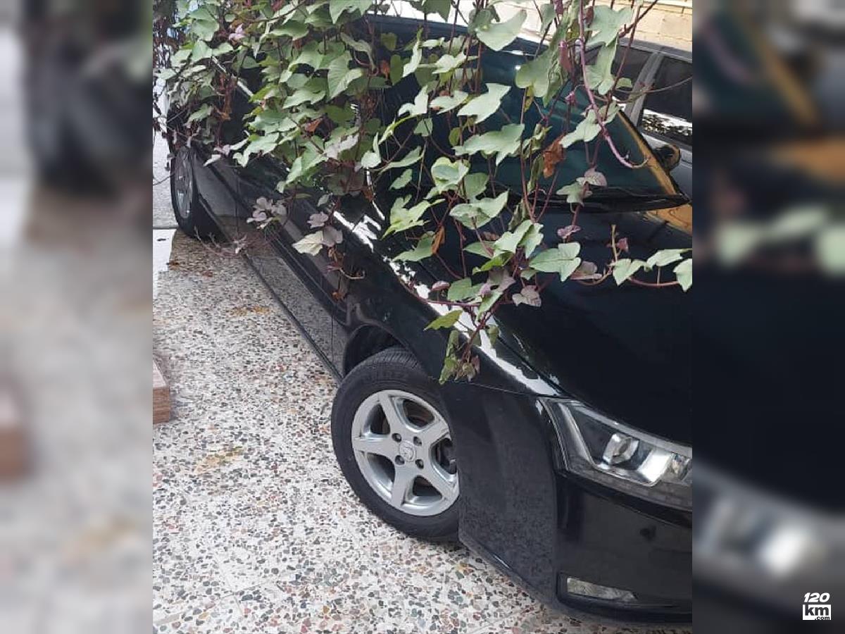 فروش دنا ۱۳۹۵ مشکی بدون رنگ بوشهر (۲۴ اردیبهشت ۱۴۰۴)