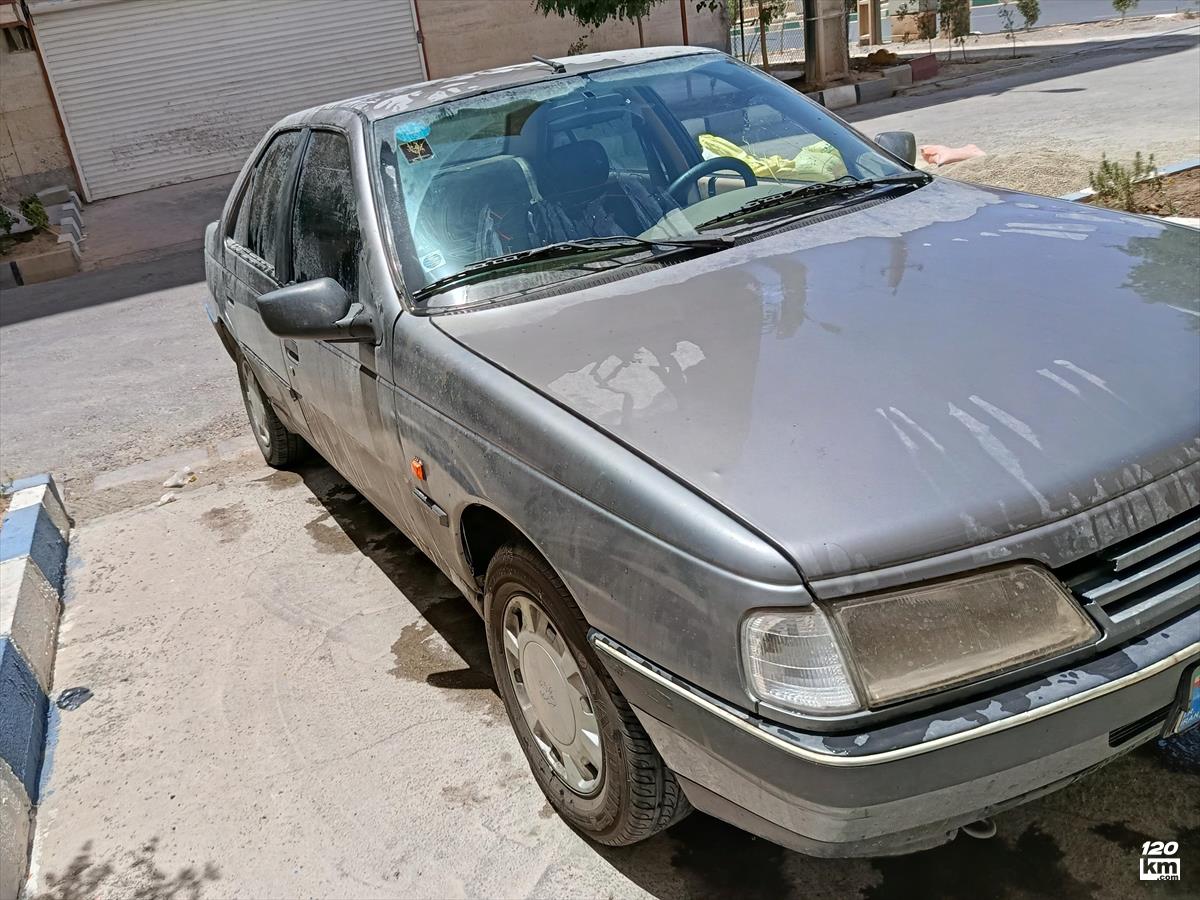 فروش پژو 405 GLX ۱۳۹۱ دوگانه سوز خاکستری گلگیر تعویض تهران پرند (۱۱ خرداد ۱۴۰۴)