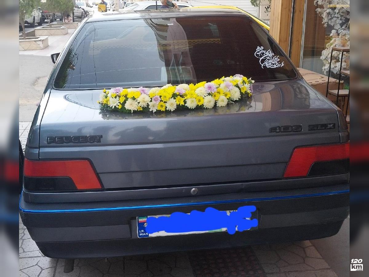 فروش پژو 405 GLX ۱۳۹۴ دوگانه سوز نوک مدادی دو لکه رنگ زاهدان (۲۸ تیر ۱۴۰۴)