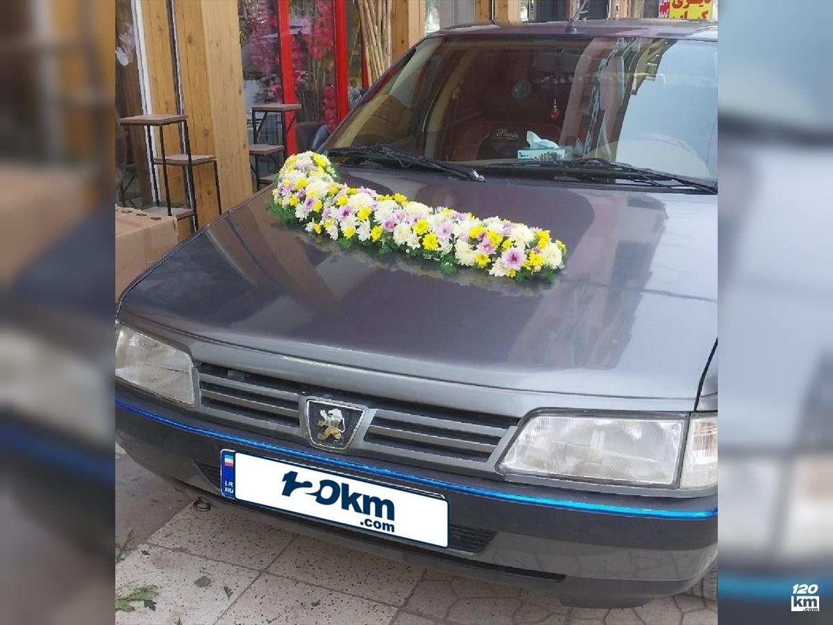فروش پژو 405 GLX ۱۳۹۴ دوگانه سوز نوک مدادی دو لکه رنگ زاهدان (۲۸ تیر ۱۴۰۴)