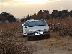 120km.com | فروش پژو، 405، GLX، مدل ۱۳۸۶، نقره ای، تهران، رباط کریم